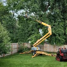 Best Utility Line Clearance  in Pomona, NY