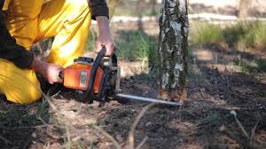 Soil Testing and Treatment in Pomona, NY