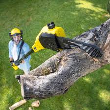 Best Weed Control  in Pomona, NY