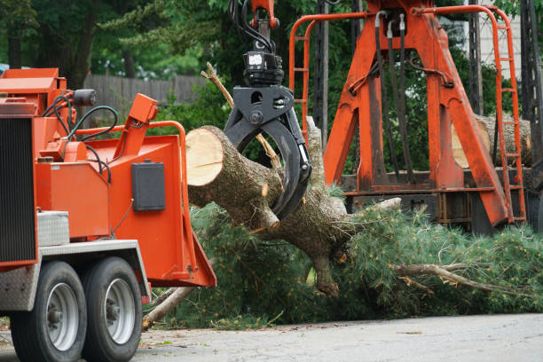 Best Lawn Watering Services  in Pomona, NY
