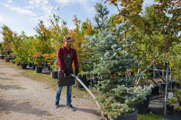 Best Commercial Tree Services  in Pomona, NY