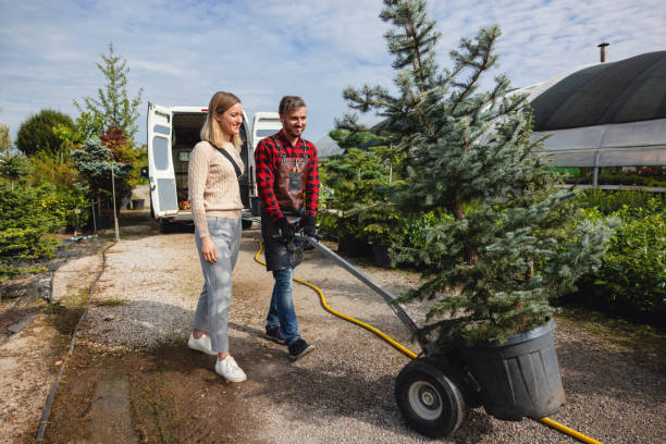 Best Lawn Pest Prevention  in Pomona, NY